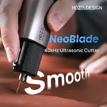 SNR McSchool's Carnival 2025 logo